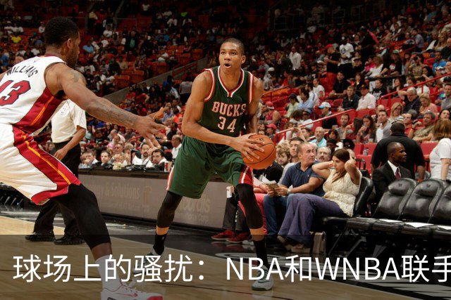 球场上的骚扰：NBA和WNBA联手呼吁更严厉的打击措施